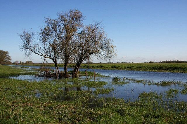 Photo "Witcham" by Bob Jones (CC BY-SA) / Cropped from original