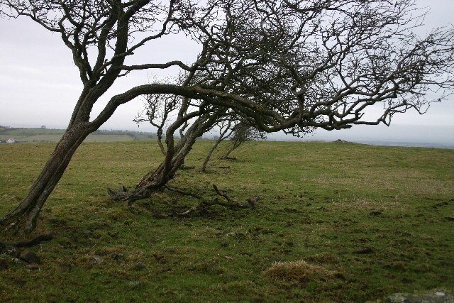 Foto "Bewaldeth and Snittlegarth" de Bob Jenkins (CC BY-SA) / Recortada do original