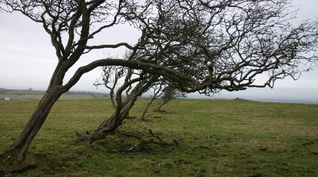 Foto "Bewaldeth and Snittlegarth" de Bob Jenkins (CC BY-SA) / Recortada do original