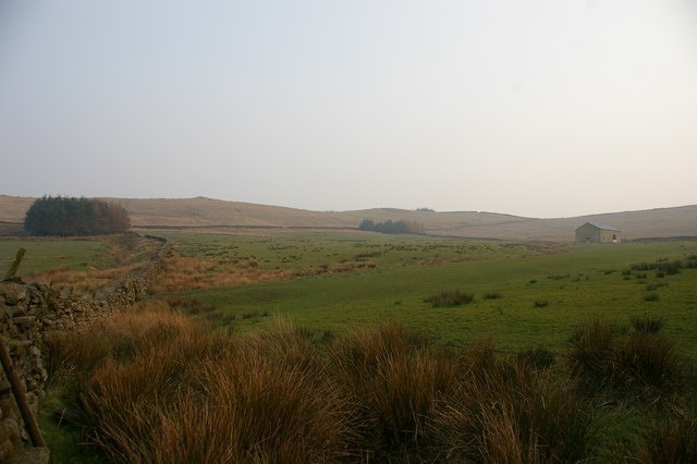 Swan Barn The odd tree on the horizon is what is left, after the felling of the conifers on Grindleton Fell