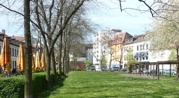 Default Image