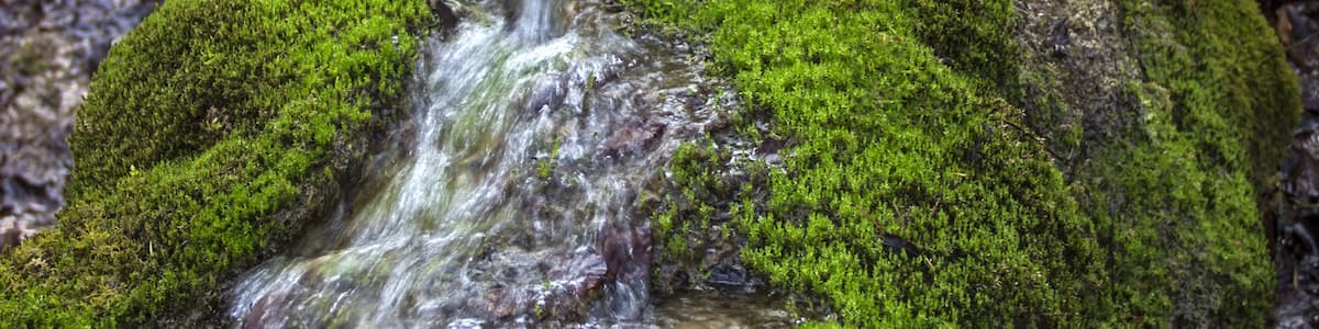 Photo "Steinerne Rinne, Erasbach, Berching" by Derzno (Creative Commons Attribution 3.0) / Cropped from original