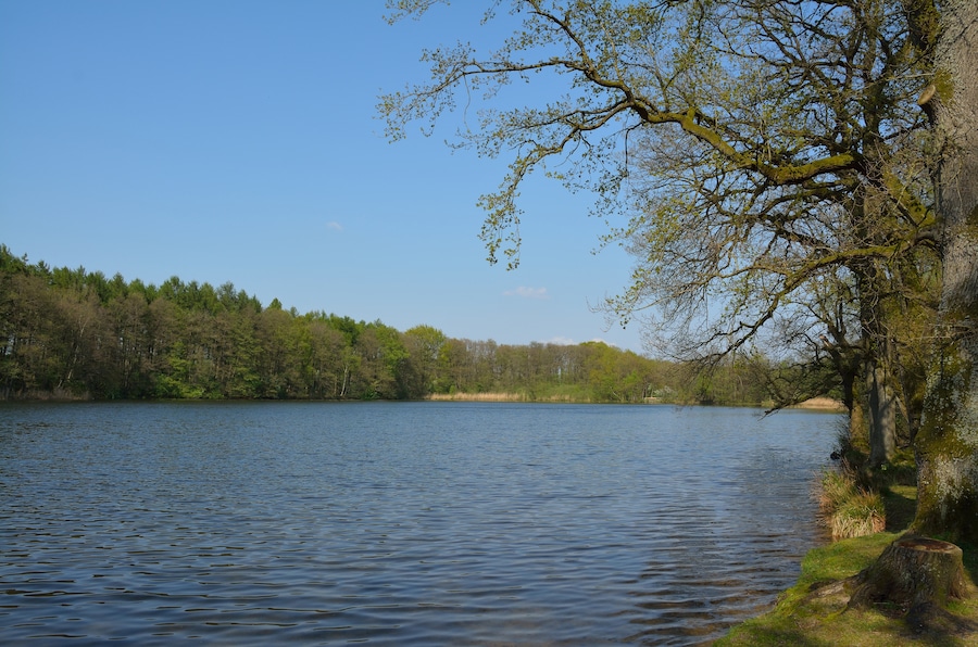 Landschaftsschutzgebiet "Lohmühlenteich" in Hohenlockstedt, Schleswig-Holstein.