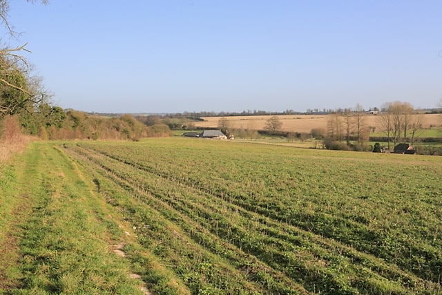 Wayfarer's Walk above Totford Approaching Totford Farm (in distance) with Totford Pumping Station at right. The B3046 runs along the hedge line beyond these two buildings.