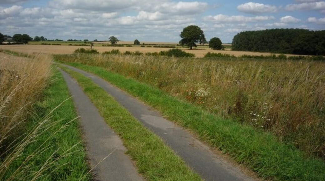 Photo "Harton" by DS Pugh (CC BY-SA) / Cropped from original