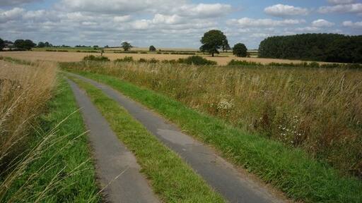 Photo "Harton" by DS Pugh (CC BY-SA) / Cropped from original