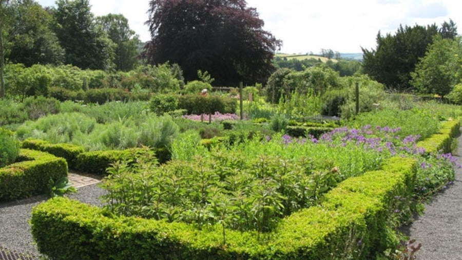 Photo "Chesters Walled Garden - eastern part. See 1461071." by Mike Quinn (Creative Commons Attribution-Share Alike 2.0) / Cropped from original