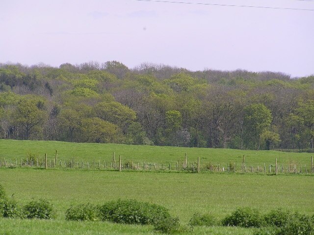 Foto “Grafton Flyford” tomada por Richard Dunn (CC BY-SA); recorte de la original