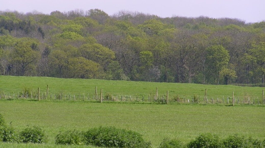 Foto “Grafton Flyford” tomada por Richard Dunn (CC BY-SA); recorte de la original