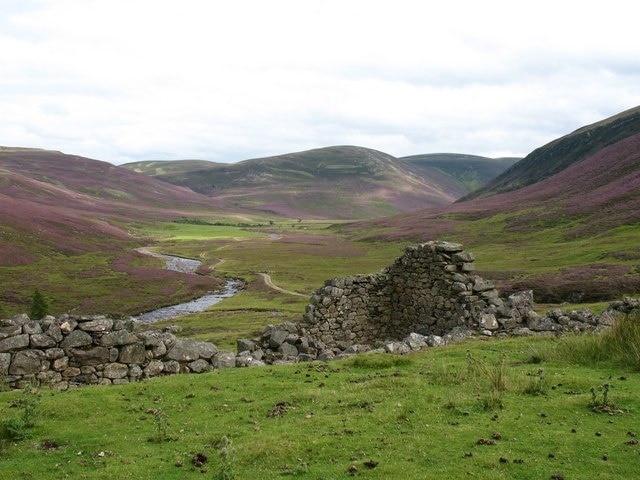 Ruins at Auchelie [2] Looking south east over the ruins at Auchelie, with Glen Ey stretching away into the hills.