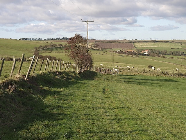 Kuva ”Newton Mulgrave” käyttäjältä Stephen McCulloch (CC BY-SA) / rajattu alkuperäisestä kuvasta