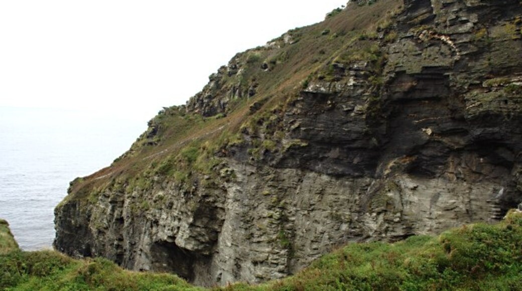 Foto "Trevalga" de Tony Atkin (CC BY-SA) / Recortada do original