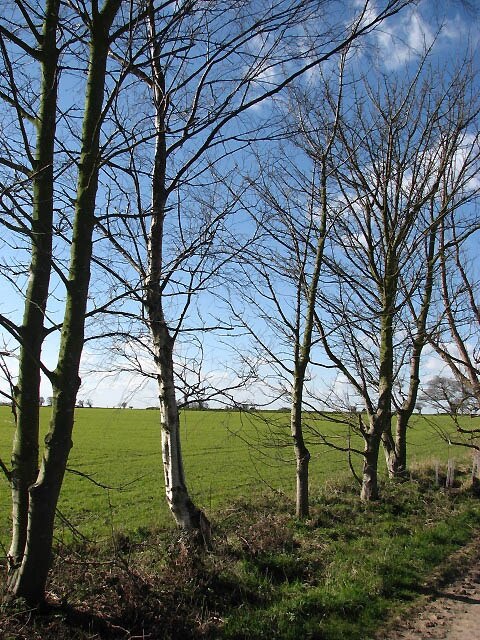 Photo "Antingham" by Evelyn Simak (CC BY-SA) / Cropped from original