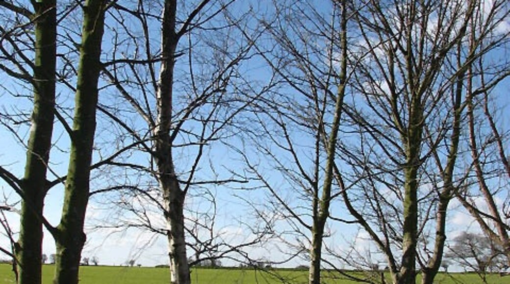 Photo "Antingham" by Evelyn Simak (CC BY-SA) / Cropped from original