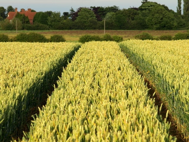 Photo "Preston" by Andy Beecroft (CC BY-SA) / Cropped from original