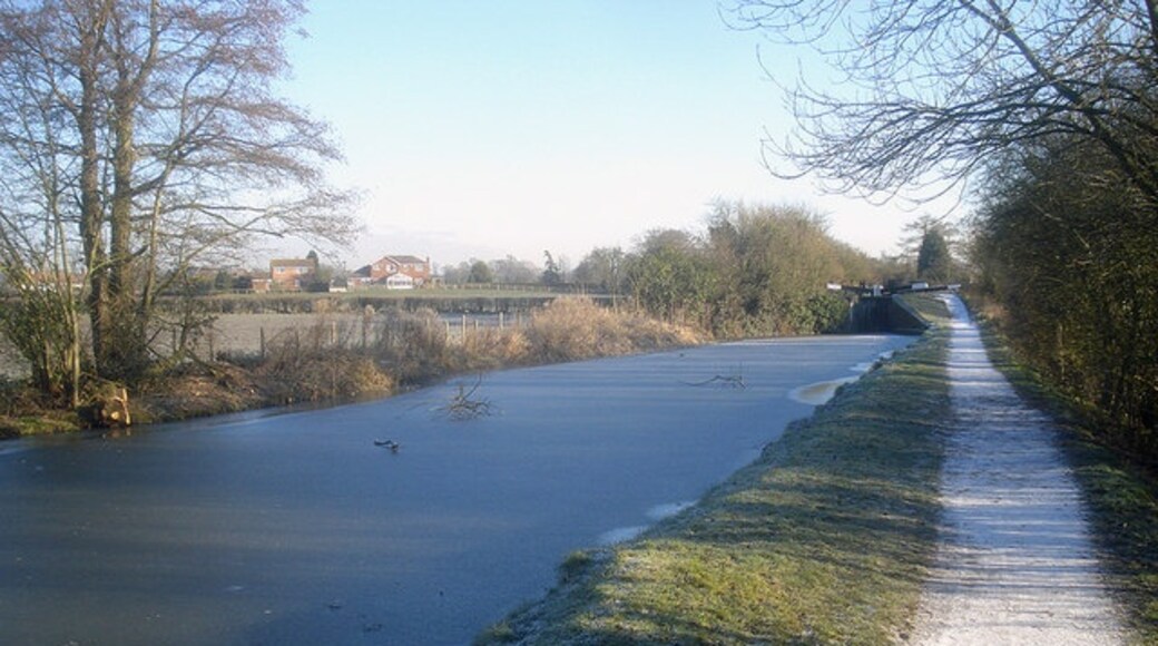 Foto “Stoke” tomada por Trevor Rickard (CC BY-SA); recorte de la original