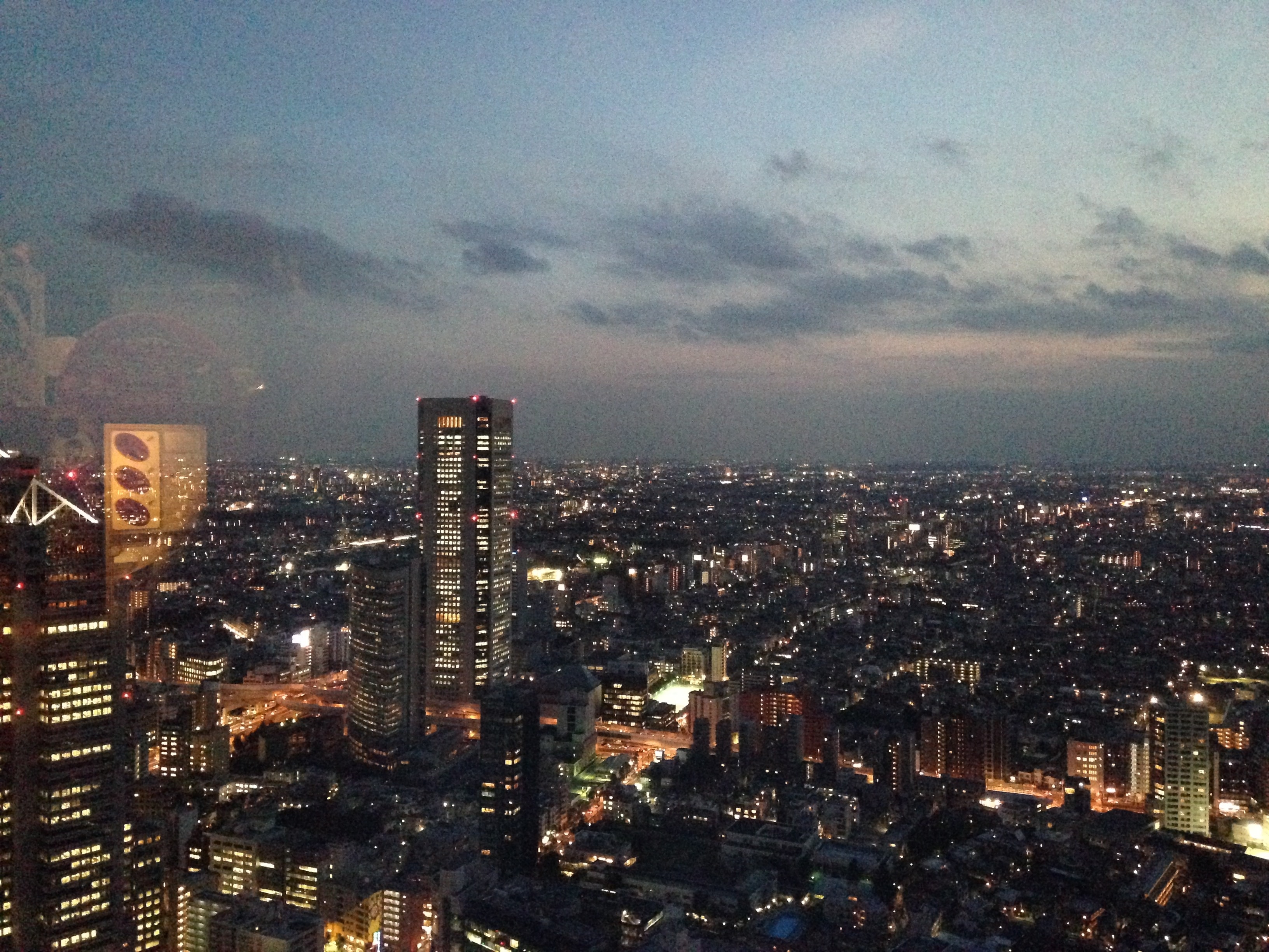 東京都庁第一本庁舎の展望台より望む夜景(南西)