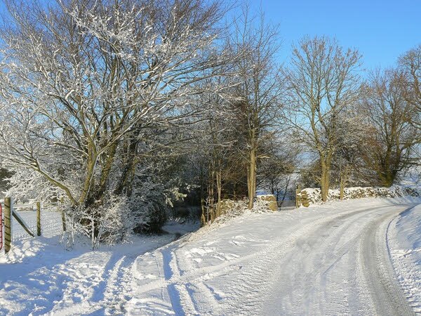 Photo "West Scrafton" by Anthony Harrison (CC BY-SA) / Cropped from original