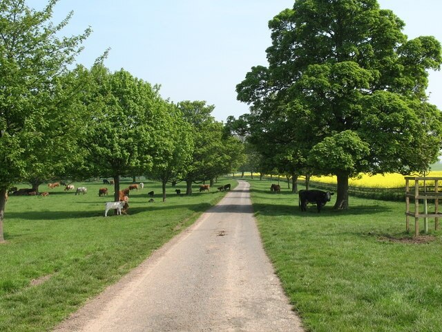 "Markenfield Hall"-foto av Gordon Hatton (CC BY-SA) / Urklipp från original