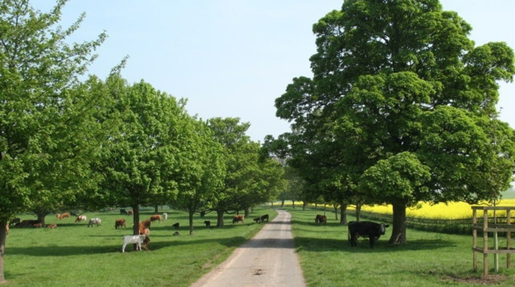 "Markenfield Hall"-foto av Gordon Hatton (CC BY-SA) / Urklipp från original