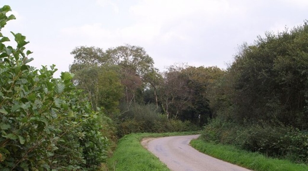 Billede "Roborough" af Derek Harper (CC BY-SA) / beskåret fra det originale billede