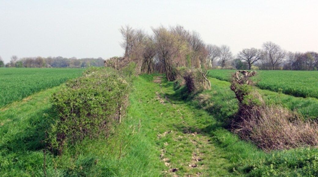 Kuva ”Chignall” käyttäjältä Robin Webster (CC BY-SA) / rajattu alkuperäisestä kuvasta