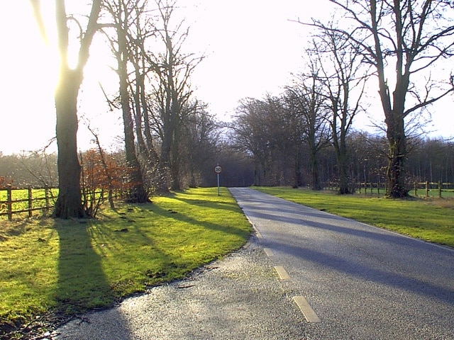 Cowthwaite Plantation View of Cowthwaite Plantation taken from the main driveway through to Becca Hall and Becca Home Farm.