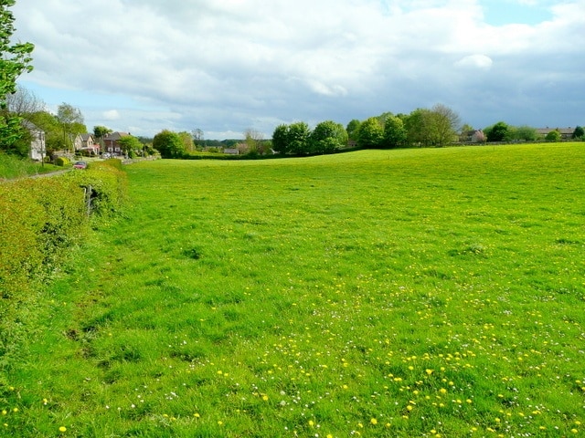 View south towards Scarcliffe The tower of St. Leonard's church can be discerned behind a tree to the left of shot.