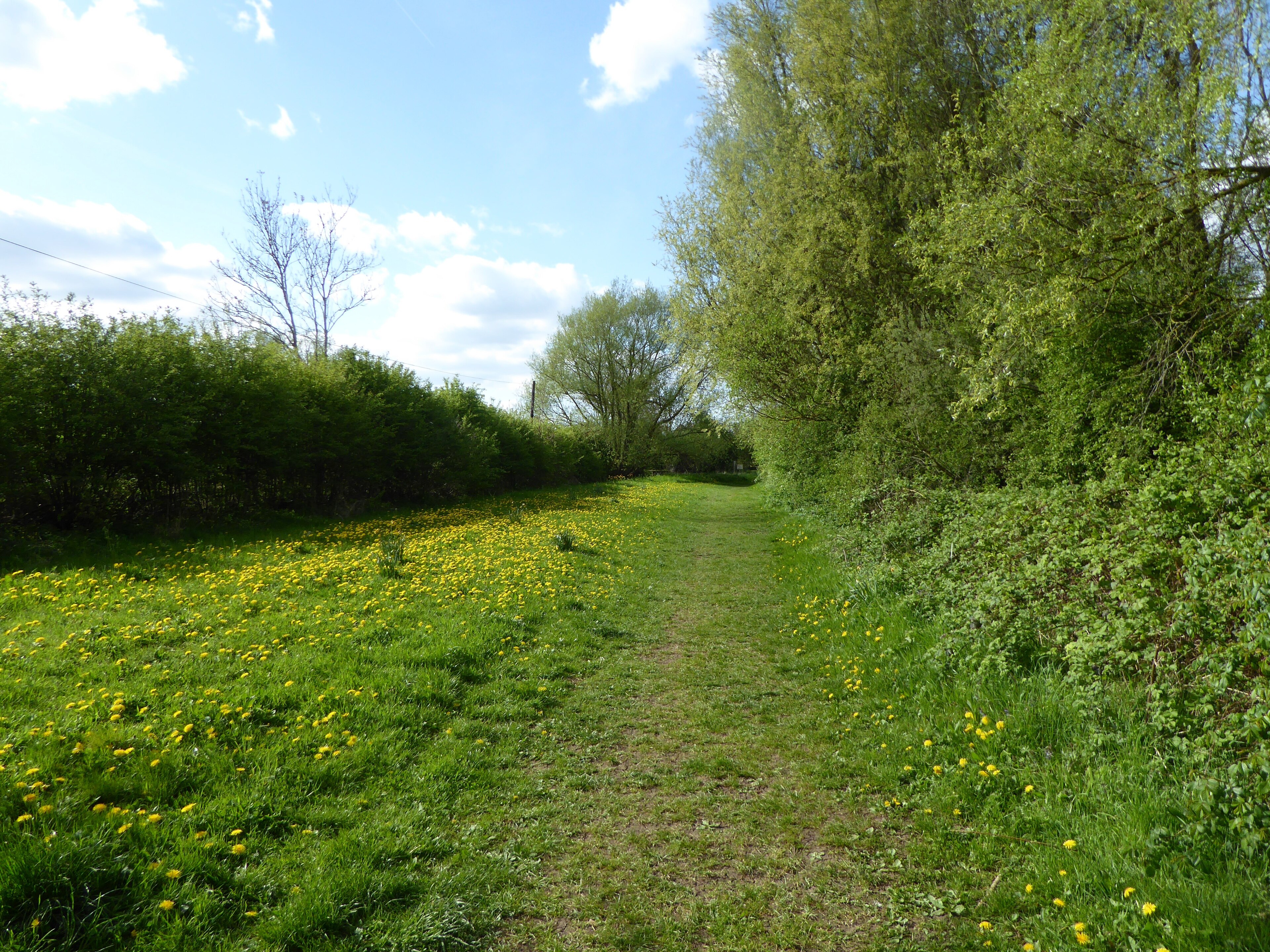 Foto “Woodford” tomada por Dudley Miles (CC BY-SA); recorte de la original