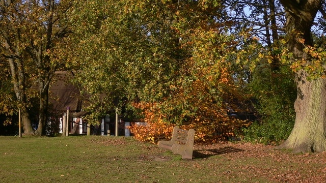 Seat on the green at Headley The building through the trees is the village hall.