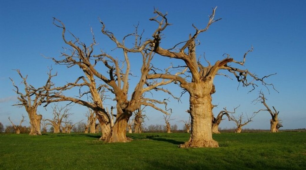 "Mundon"-foto av Glyn Baker (CC BY-SA) / Urklipp från original