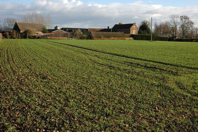 "Pinvin"-foto av Philip Halling (CC BY-SA) / Urklipp från original