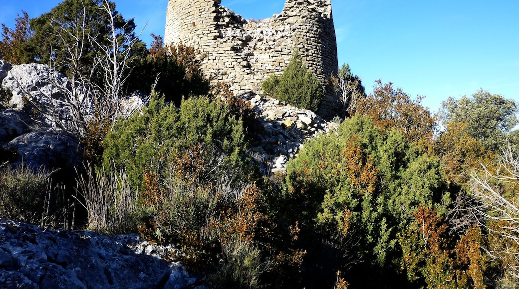 Kuva ”Vilanova de Meià” käyttäjältä Isidre blanc (CC BY-SA) / rajattu alkuperäisestä kuvasta
