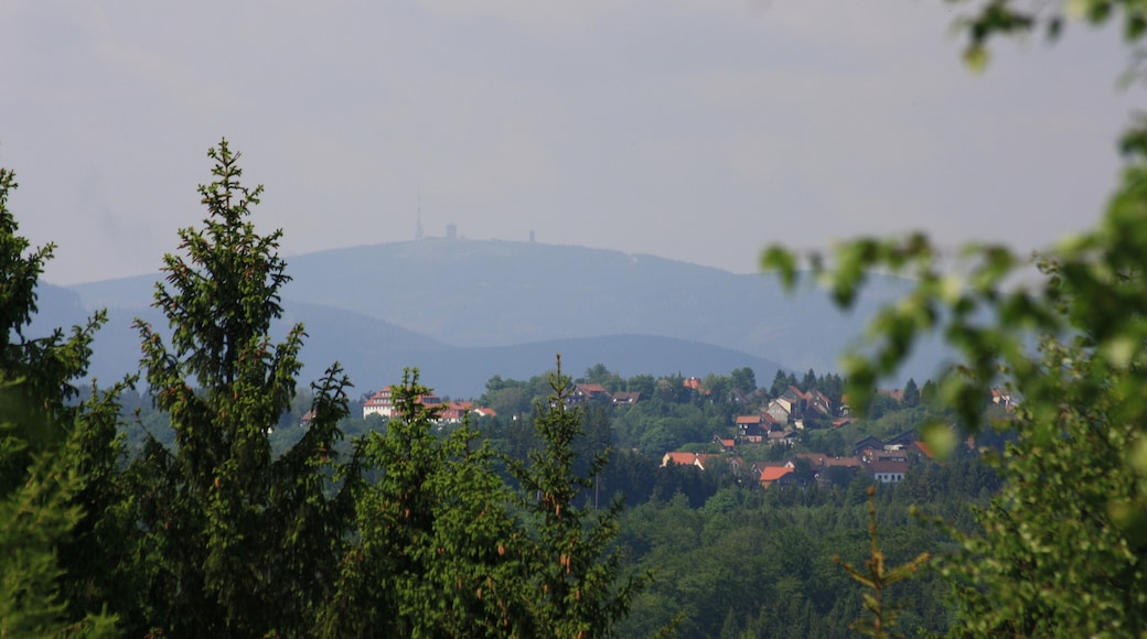Foto „Harz“ von Gottfried Hoffmann -… (CC BY)/zugeschnittenes Original