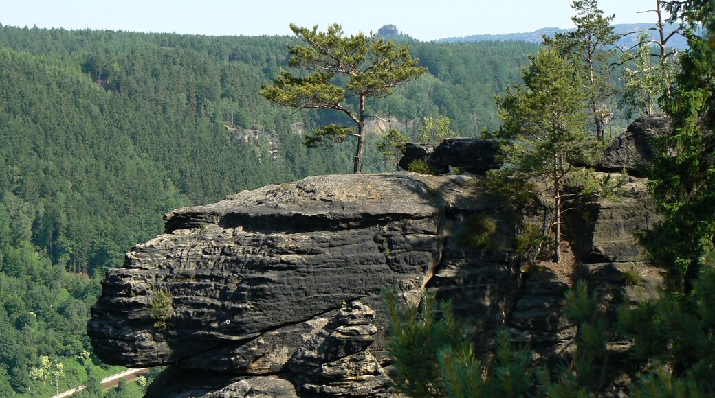 Foto "Labská Stráň" por Huhulenik (CC BY) / Recortada de la original