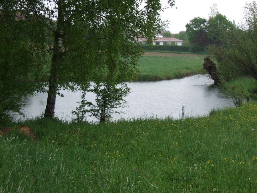 Der Nau Ursprung in Langenau