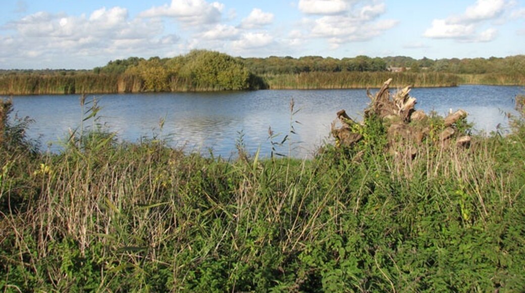 Foto „Claxton“ von Evelyn Simak (CC BY-SA)/zugeschnittenes Original