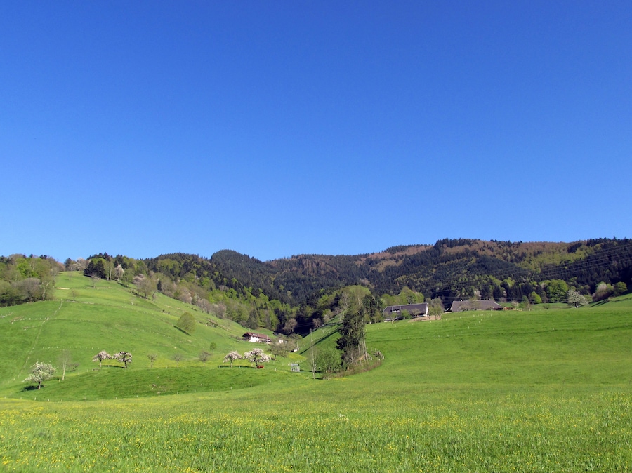 Münstertal/Schwarzwald