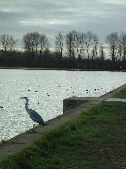 "Tring Rural"-foto av Rob Farrow (CC BY-SA) / Urklipp från original