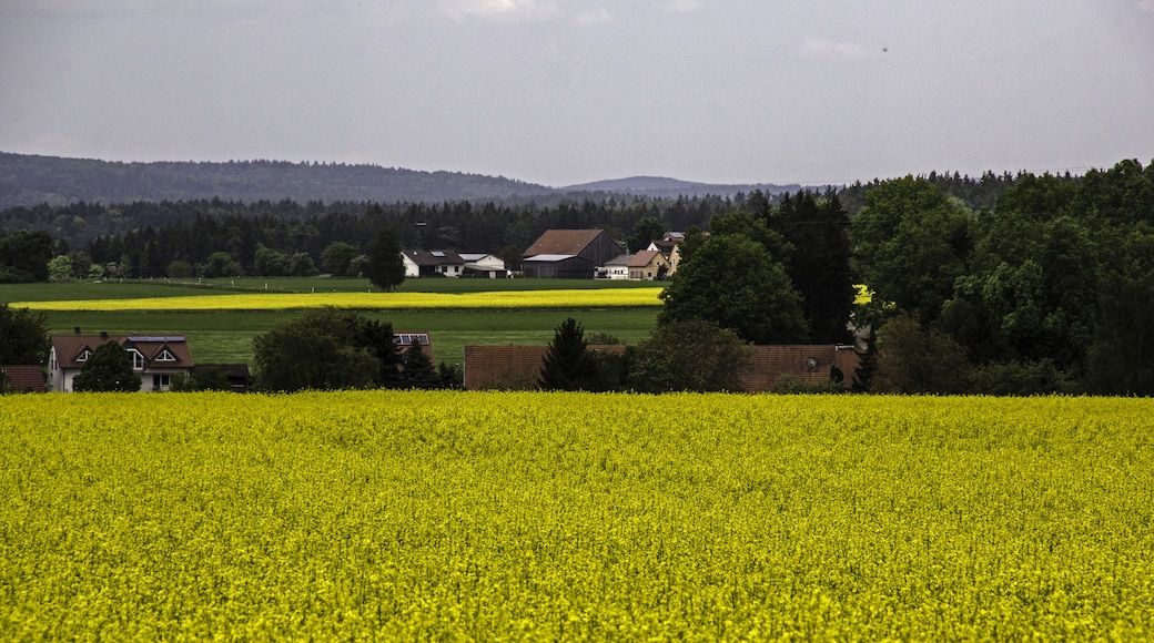 Foto „Dietfurt an der Altmühl“ von Derzno (CC BY)/zugeschnittenes Original