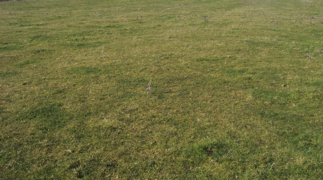 Photo "Wingrave with Rowsham" by Shaun Ferguson (CC BY-SA) / Cropped from original