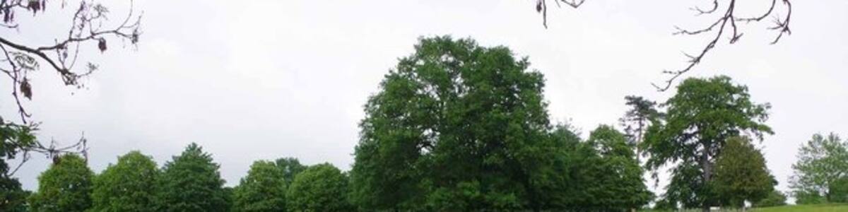 Photo "Path Near Spayne's Hall" by Glyn Baker (Creative Commons Attribution-Share Alike 2.0) / Cropped from original