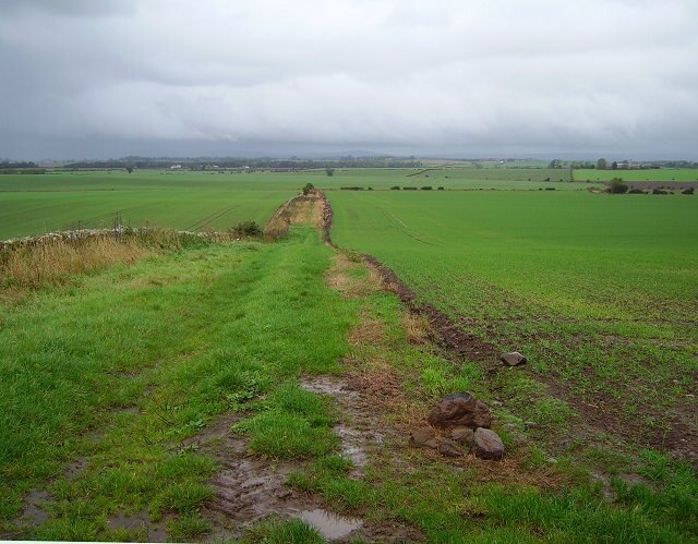 The Merse, Big fields. Many fields have been amalgamated on arable farms to create larger fields more suited for mechanisation and continual arable use through artificial fertilizers. There are costs, to habitat loss and soil erosion.