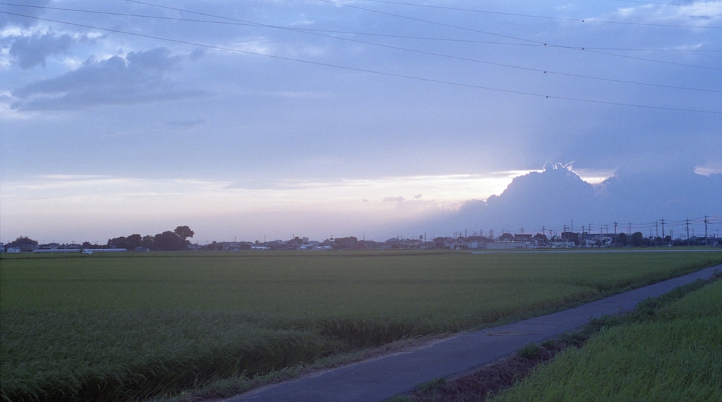 Ảnh "Koga" của shikabane taro (CC BY) / Cắt từ ảnh gốc