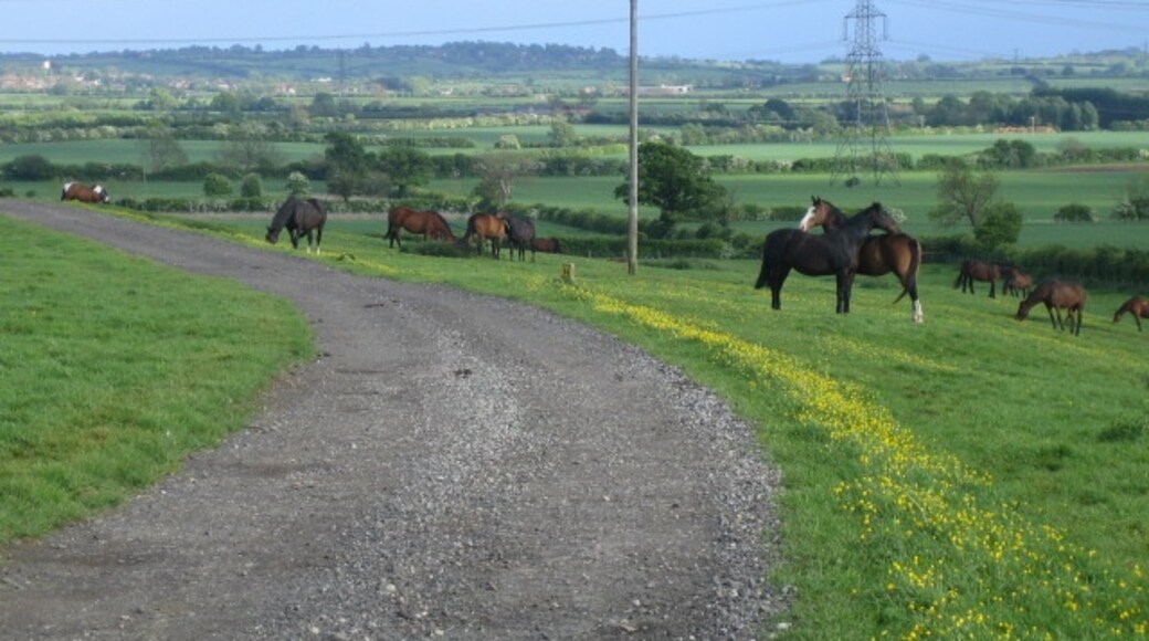 "East Claydon"-foto av Andy Gryce (CC BY-SA) / Urklipp från original