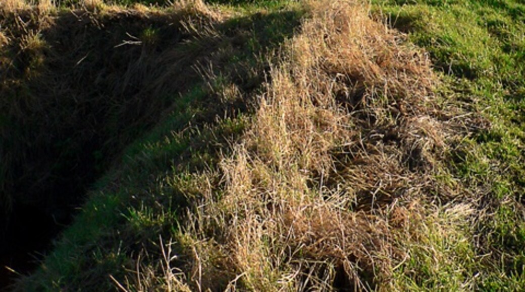 Kuva ”Carrington” käyttäjältä Ian Carrington (CC BY-SA) / rajattu alkuperäisestä kuvasta