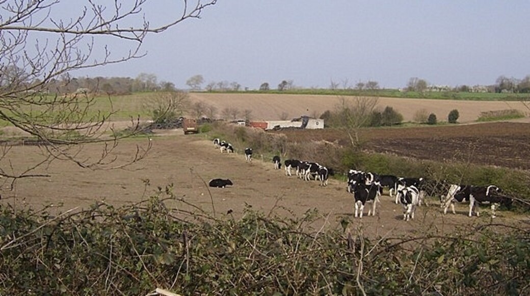 Foto „Stockton“ von Graham Horn (CC BY-SA)/zugeschnittenes Original