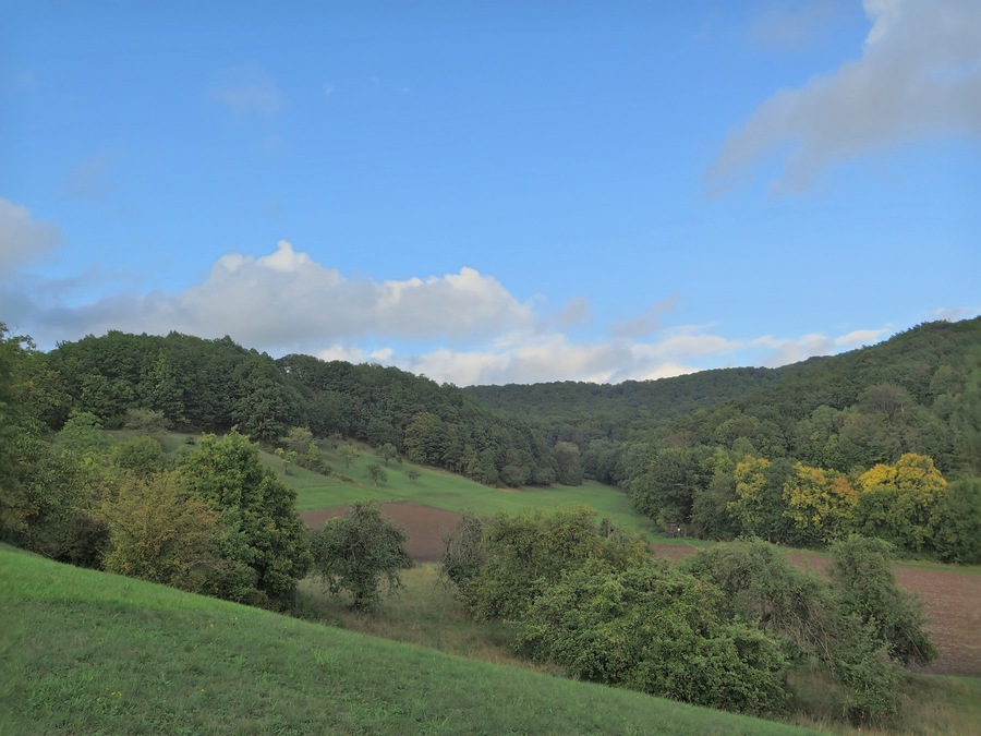 (NSG:BY-NSG-00376.01)_Trockenhänge und Urwiese bei Junkersdorf - Blick von oberhalb von Unfinden auf einen Teil der Trockenhänge bei Junkersdorf