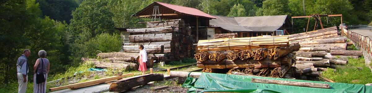 Photo "Segheria TICINORO" by Wa18 (Creative Commons Attribution 3.0) / Cropped from original