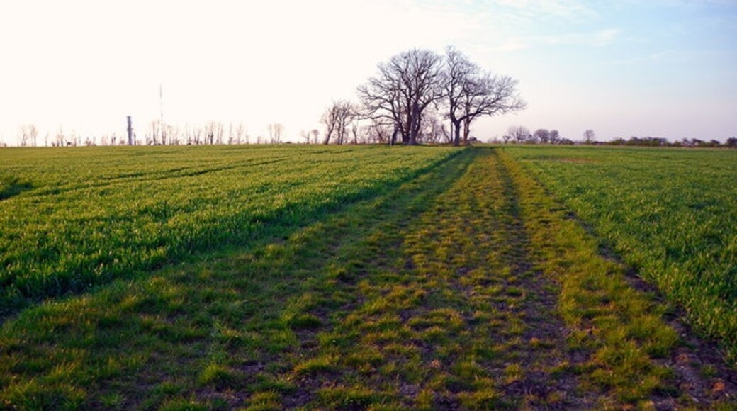 "Folksworth and Washingley"-foto av Julian Dowse (CC BY-SA) / Urklipp från original